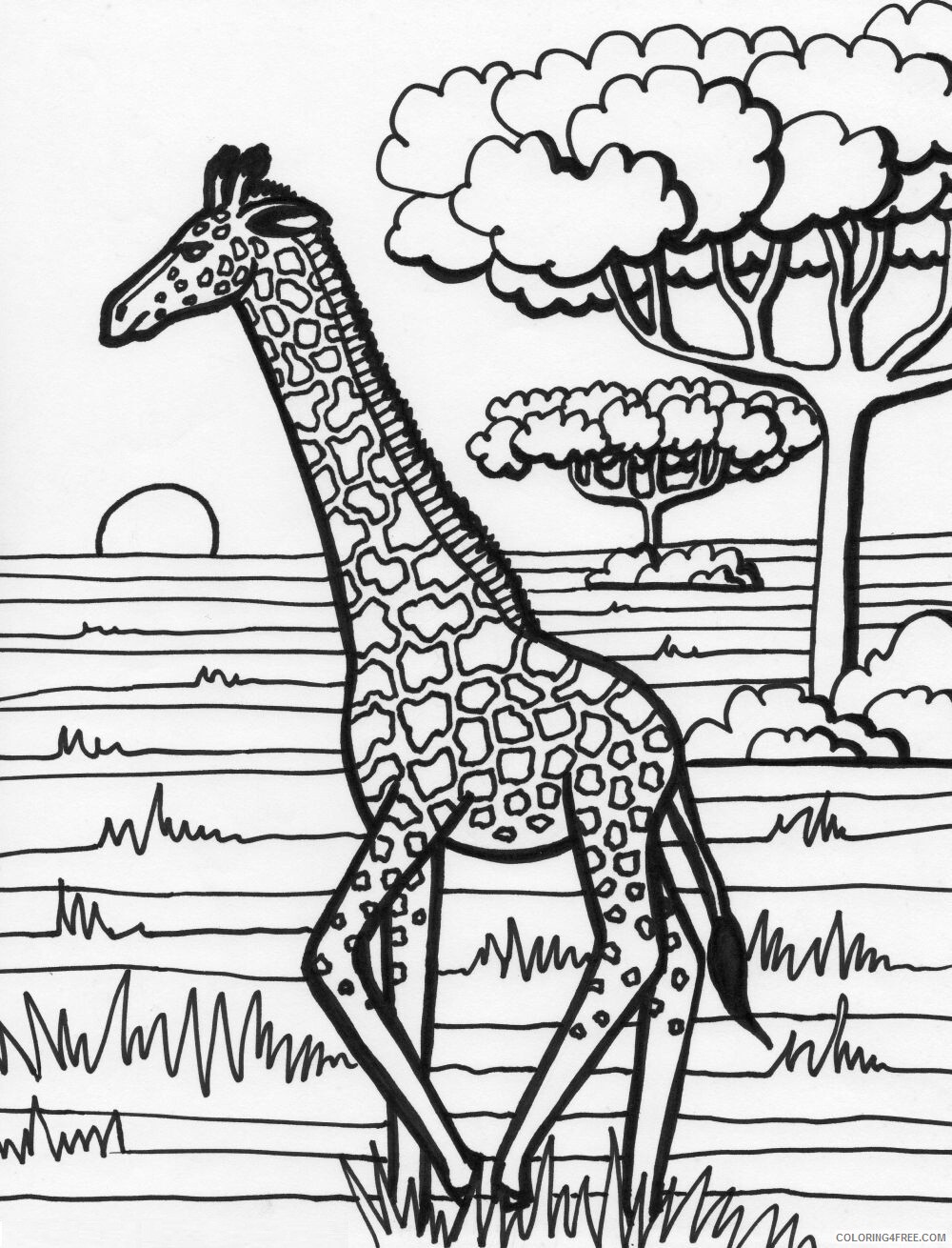 Giraffe Coloring Pages Animal Printable Sheets Giraffe Photo 2021 2403 Coloring4free