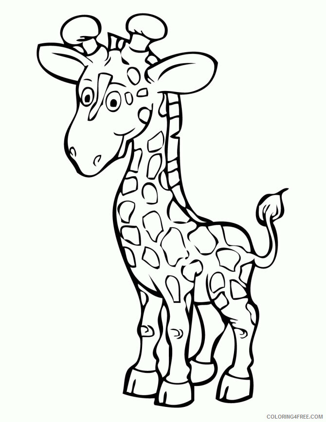 Giraffe Coloring Pages Animal Printable Sheets Giraffe Sheet Free 2021 2411 Coloring4free