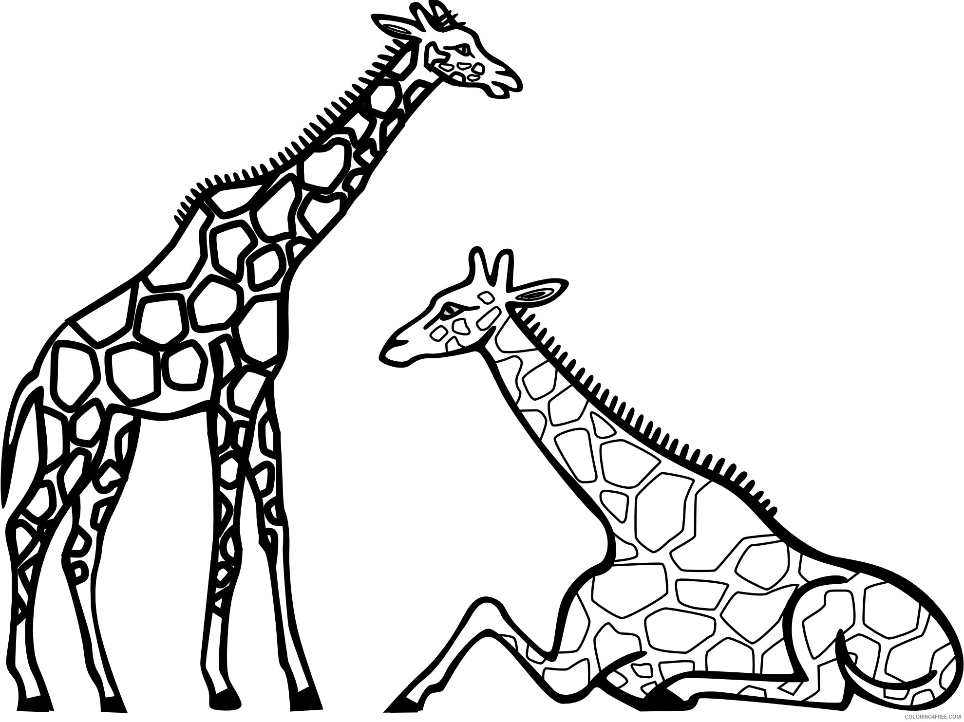 Giraffe Coloring Pages Animal Printable Sheets Giraffe To Print 2 2021 2408 Coloring4free