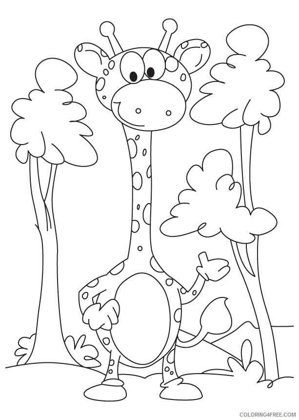 Giraffe Coloring Pages Animal Printable Sheets Giraffe to Print 2021 2410 Coloring4free