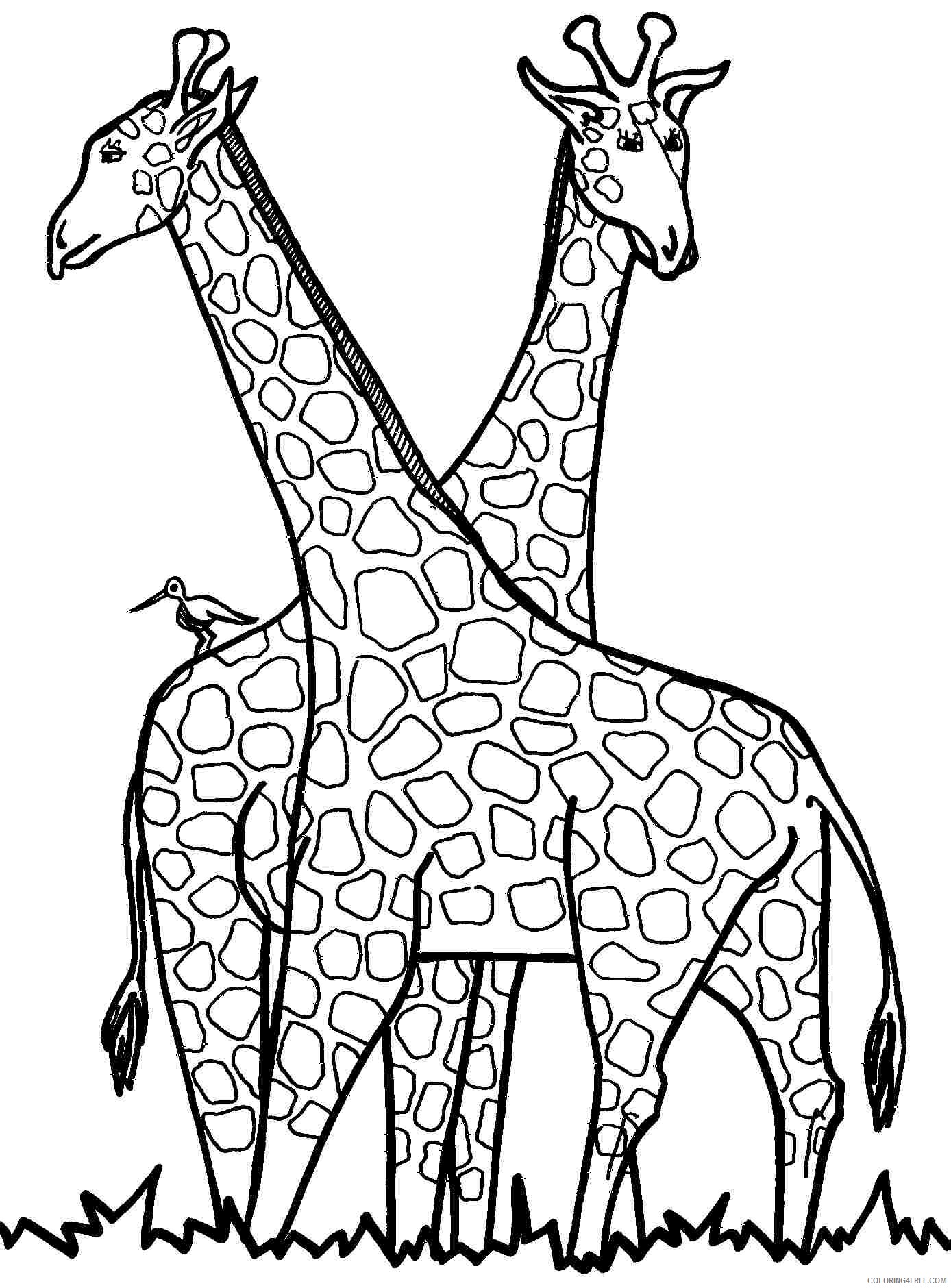 Giraffe Coloring Pages Animal Printable Sheets Printable Giraffe 2021 2422 Coloring4free
