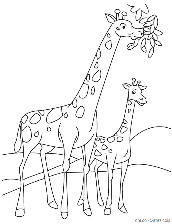 Giraffe Coloring Pages Animal Printable Sheets Printable Giraffe for Kids 2021 Coloring4free