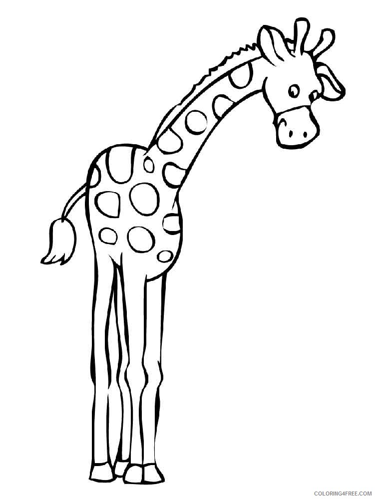 Giraffe Coloring Pages Animal Printable Sheets animals giraffe 12 2021 2382 Coloring4free