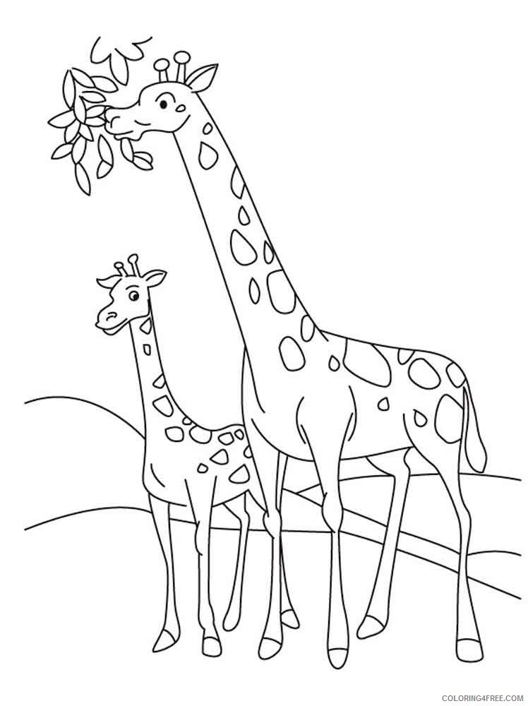 Giraffe Coloring Pages Animal Printable Sheets animals giraffe 7 2021 2385 Coloring4free