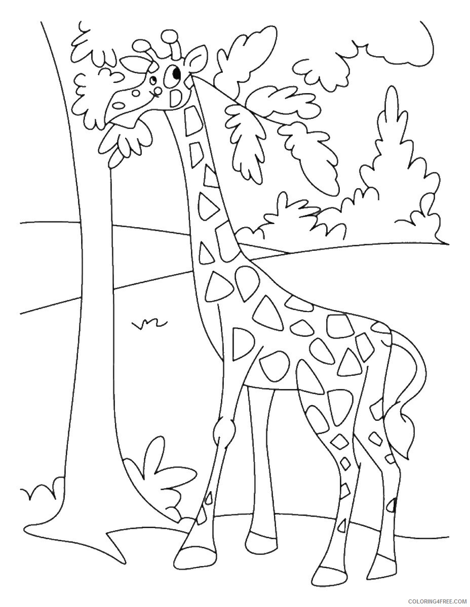 Giraffe Coloring Pages Animal Printable Sheets giraffe_cl_10 2021 2396 Coloring4free
