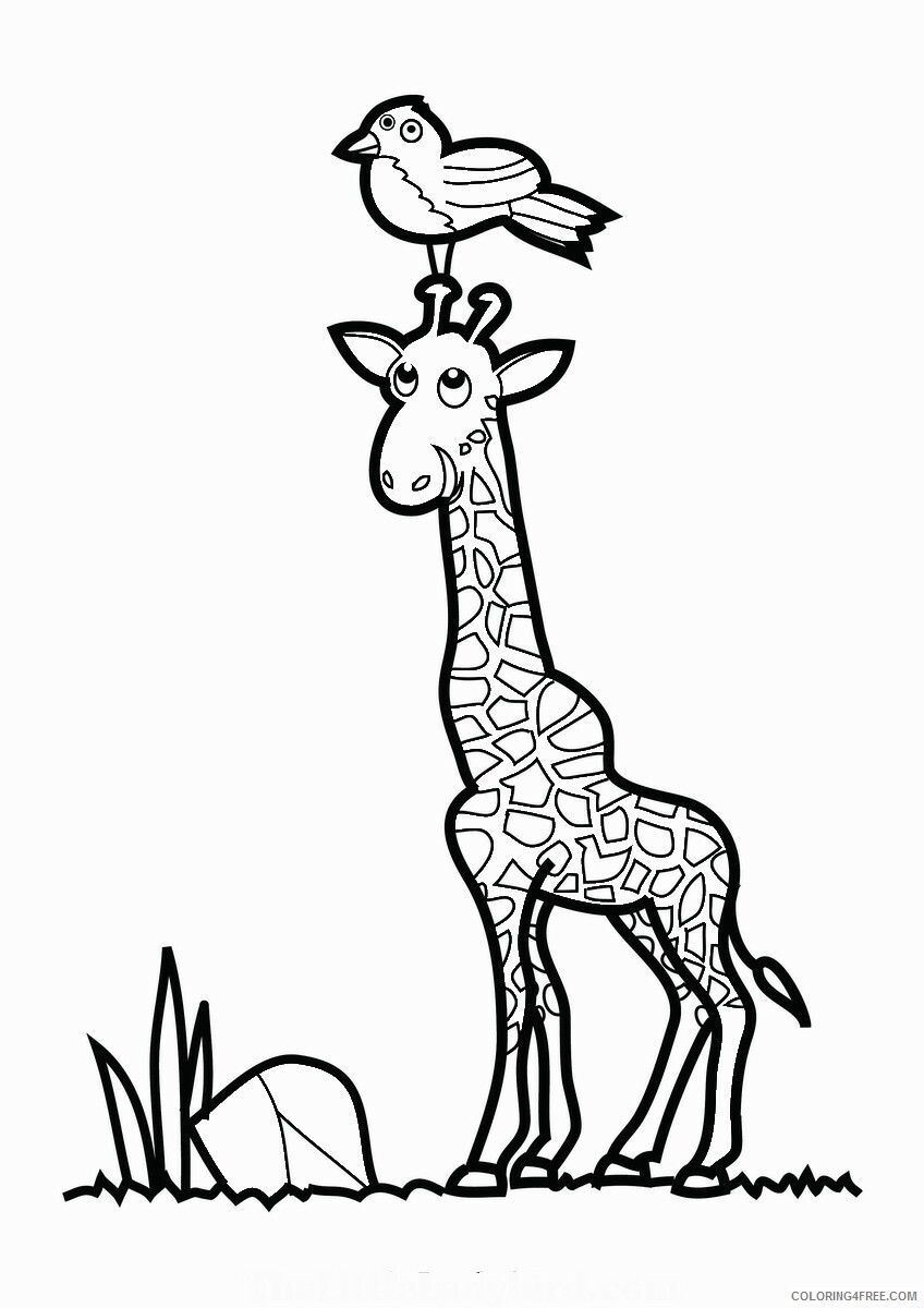 Giraffe Coloring Pages Animal Printable Sheets giraffe_cl_12 2021 2397 Coloring4free