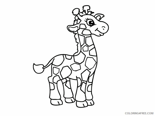 Giraffe Coloring Pages Animal Printable Sheets small giraffe 2021 2365 Coloring4free