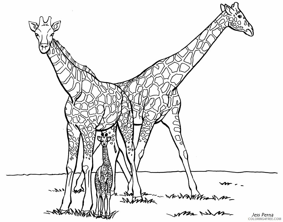 Giraffe Coloring Sheets Animal Coloring Pages Printable 2021 1979 Coloring4free