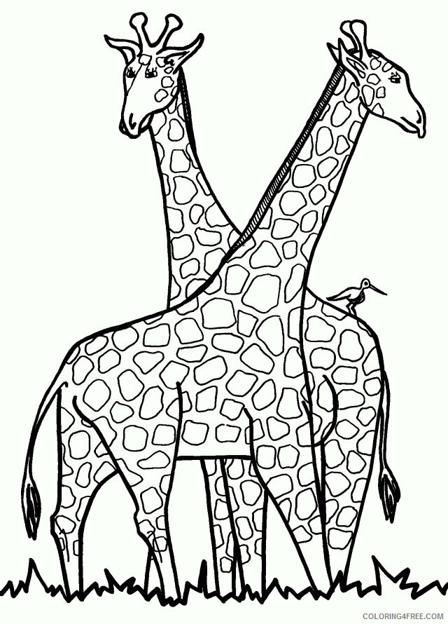 Giraffe Coloring Sheets Animal Coloring Pages Printable 2021 1988 Coloring4free