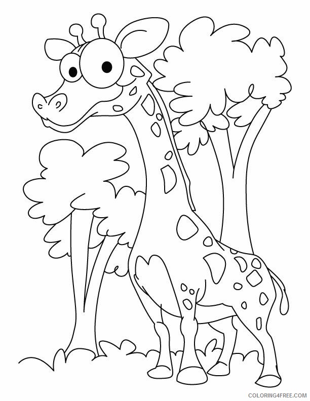 Giraffe Coloring Sheets Animal Coloring Pages Printable 2021 2000 Coloring4free