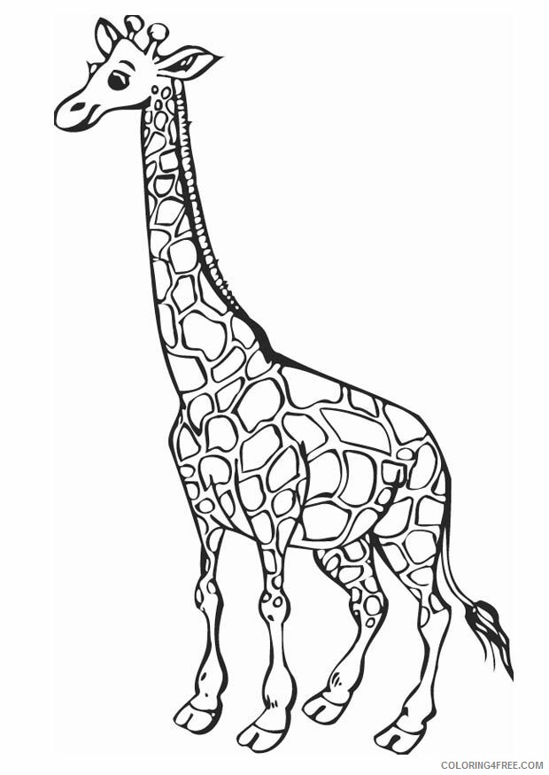 Giraffe Coloring Sheets Animal Coloring Pages Printable 2021 2006 Coloring4free