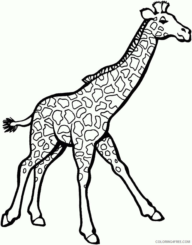 Giraffe Coloring Sheets Animal Coloring Pages Printable 2021 2013 Coloring4free