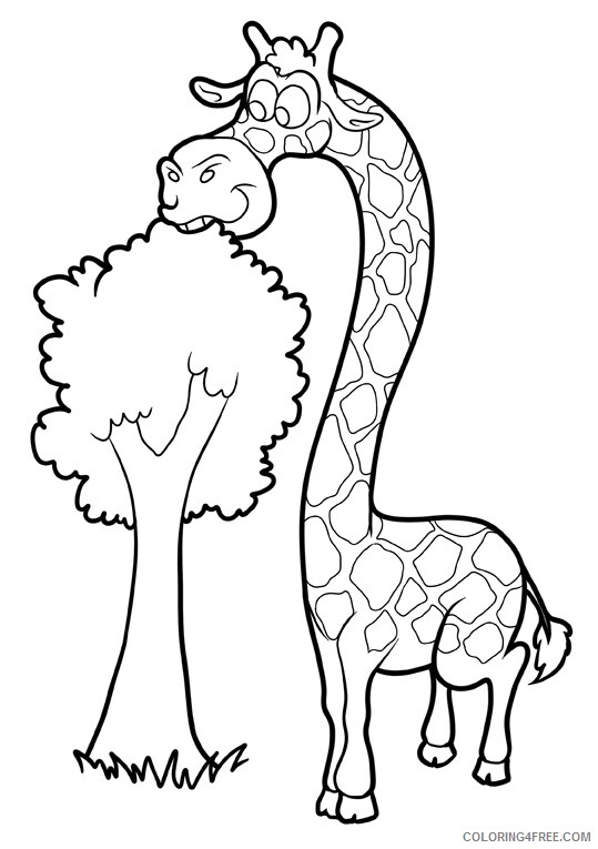 Giraffe Coloring Sheets Animal Coloring Pages Printable 2021 2016 Coloring4free