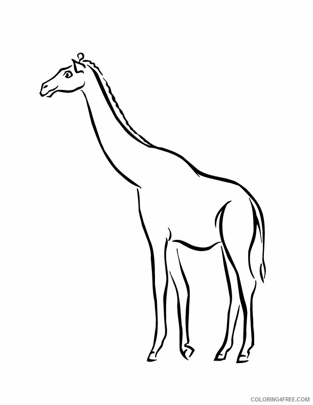 Giraffe Coloring Sheets Animal Coloring Pages Printable 2021 2032 Coloring4free