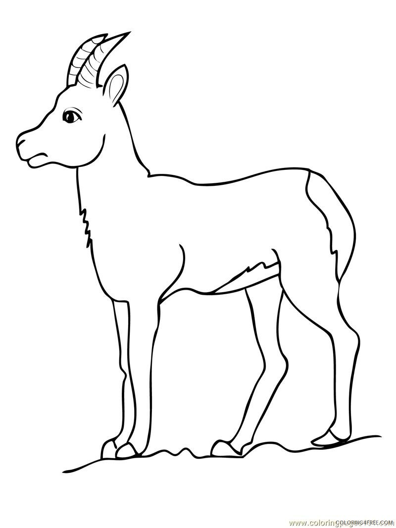 Goat Coloring Pages Animal Printable Sheets Goat 2021 2465 Coloring4free