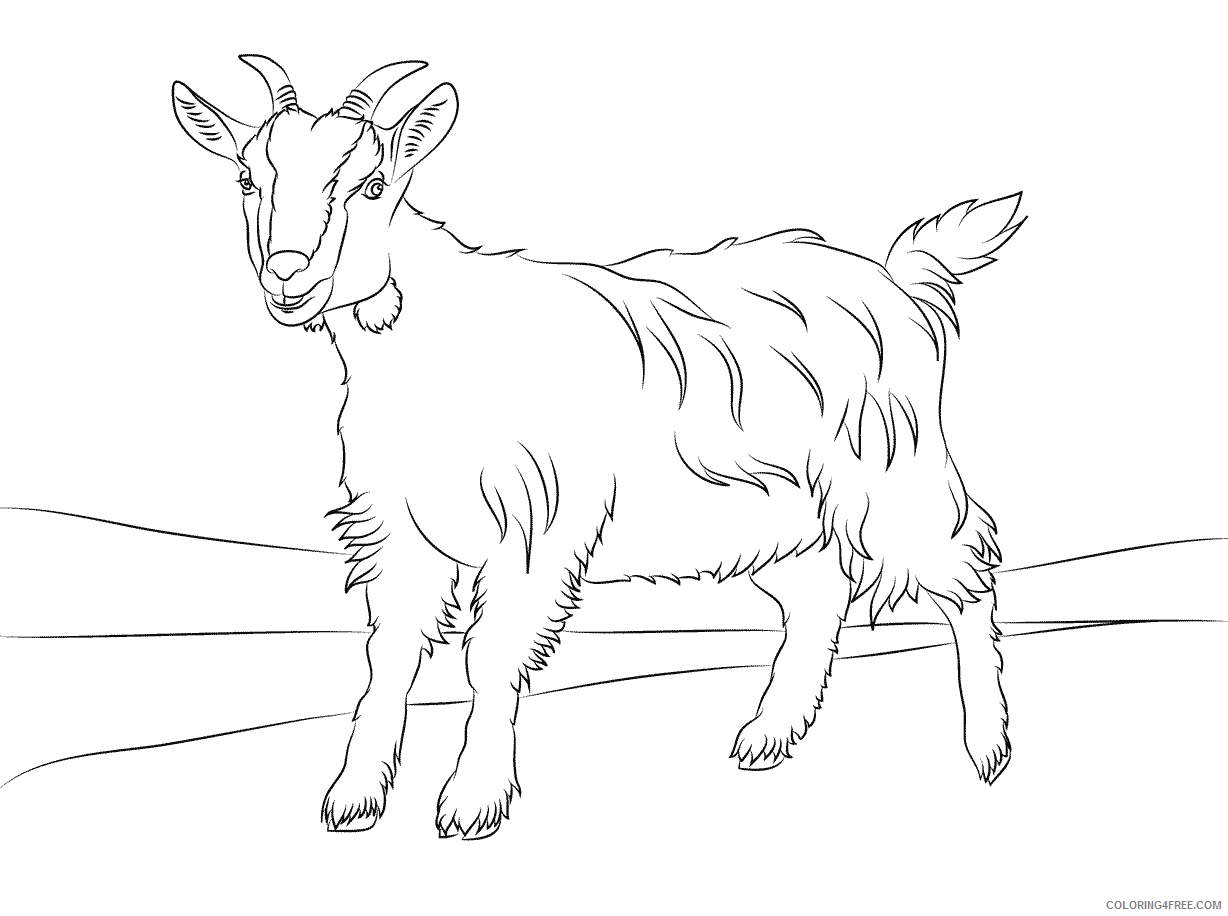 Goat Coloring Pages Animal Printable Sheets Goat Images 2021 2463 Coloring4free