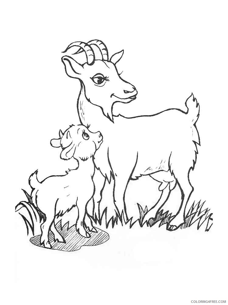 Goat Coloring Pages Animal Printable Sheets animals goat 10 2021 2435 Coloring4free