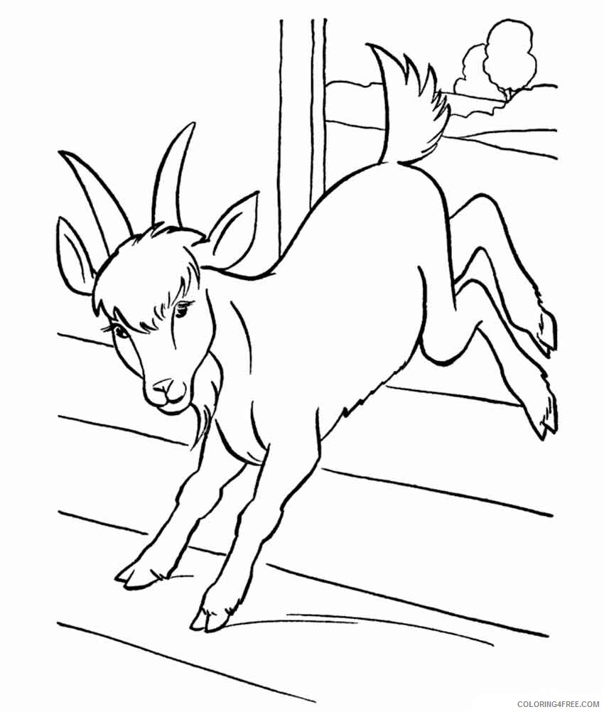 Goat Coloring Pages Animal Printable Sheets animals goat 11 2021 2436 Coloring4free