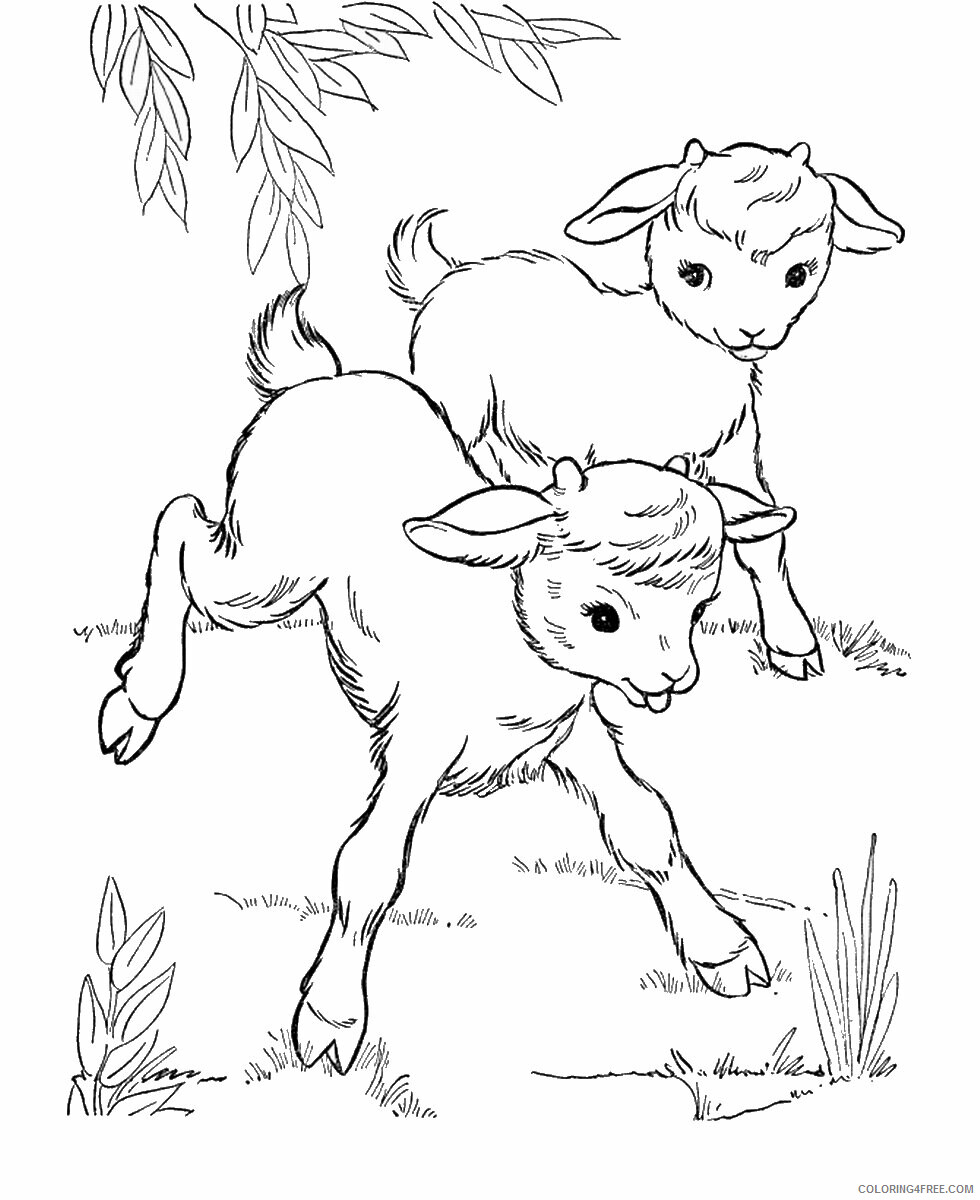 Goat Coloring Pages Animal Printable Sheets goat_cl_02 2021 2447 Coloring4free