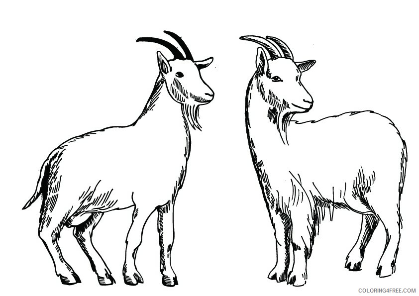 Goat Coloring Sheets Animal Coloring Pages Printable 2021 2035 Coloring4free