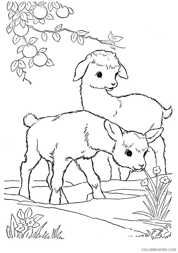 Goat Coloring Sheets Animal Coloring Pages Printable 2021 2036 Coloring4free