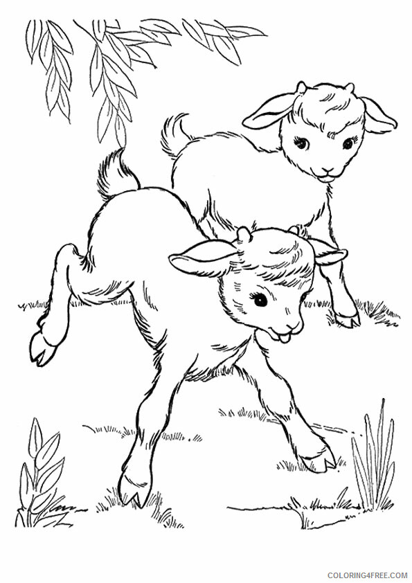 Goat Coloring Sheets Animal Coloring Pages Printable 2021 2046 Coloring4free