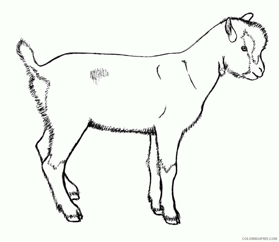 Goat Coloring Sheets Animal Coloring Pages Printable 2021 2050 Coloring4free