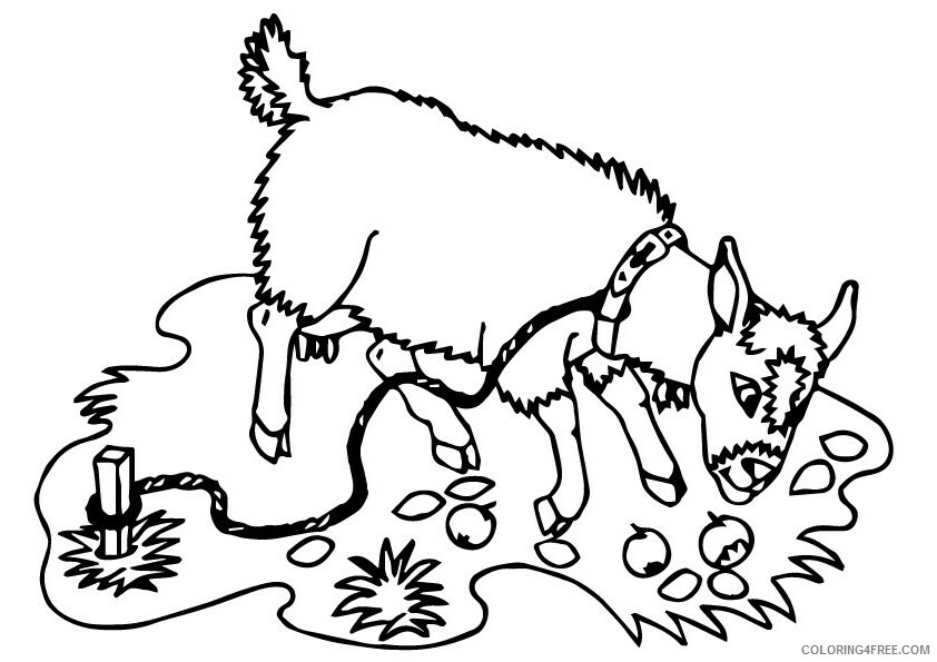 Goat Coloring Sheets Animal Coloring Pages Printable 2021 2051 Coloring4free