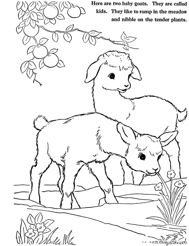 Goat Coloring Sheets Animal Coloring Pages Printable 2021 2067 Coloring4free