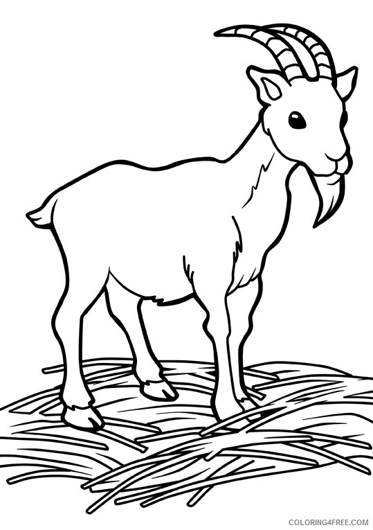 Goat Coloring Sheets Animal Coloring Pages Printable 2021 2079 Coloring4free