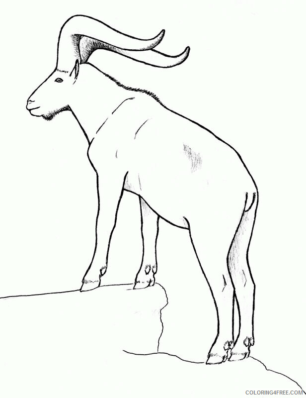 Goat Coloring Sheets Animal Coloring Pages Printable 2021 2080 Coloring4free