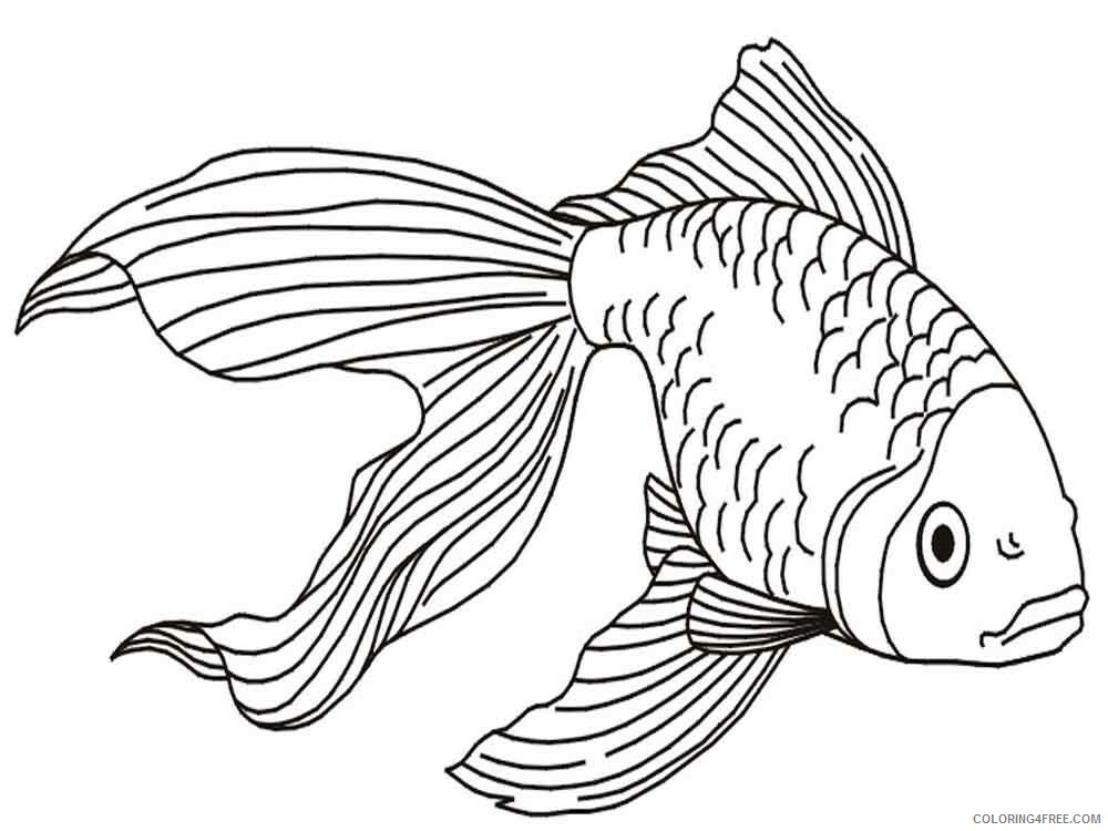 Goldfishes Coloring Pages Animal Printable Sheets Goldfishes 12 2021 2470 Coloring4free