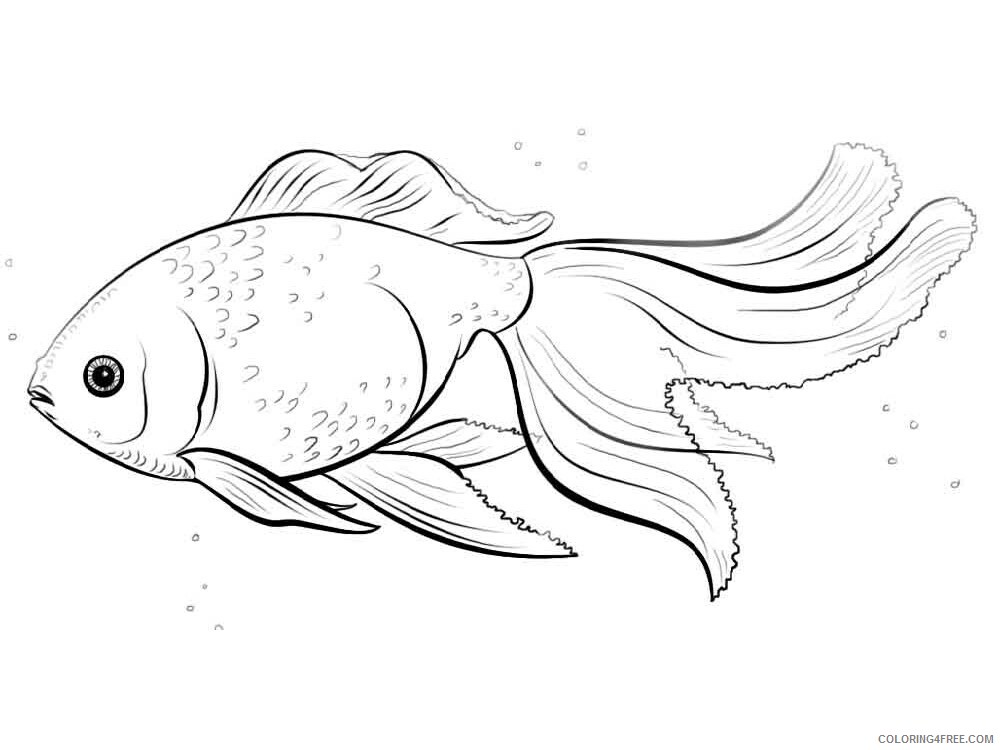 Goldfishes Coloring Pages Animal Printable Sheets Goldfishes 14 2021 2472 Coloring4free