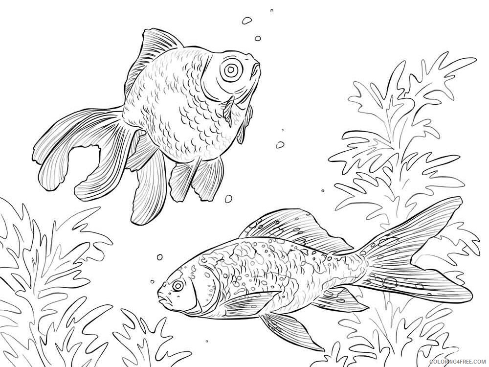 Goldfishes Coloring Pages Animal Printable Sheets Goldfishes 4 2021 2474 Coloring4free