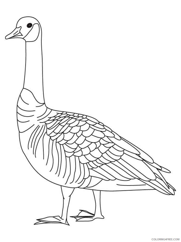 Goose Coloring Pages Animal Printable Sheets Gooses birds 7 2021 2487 Coloring4free