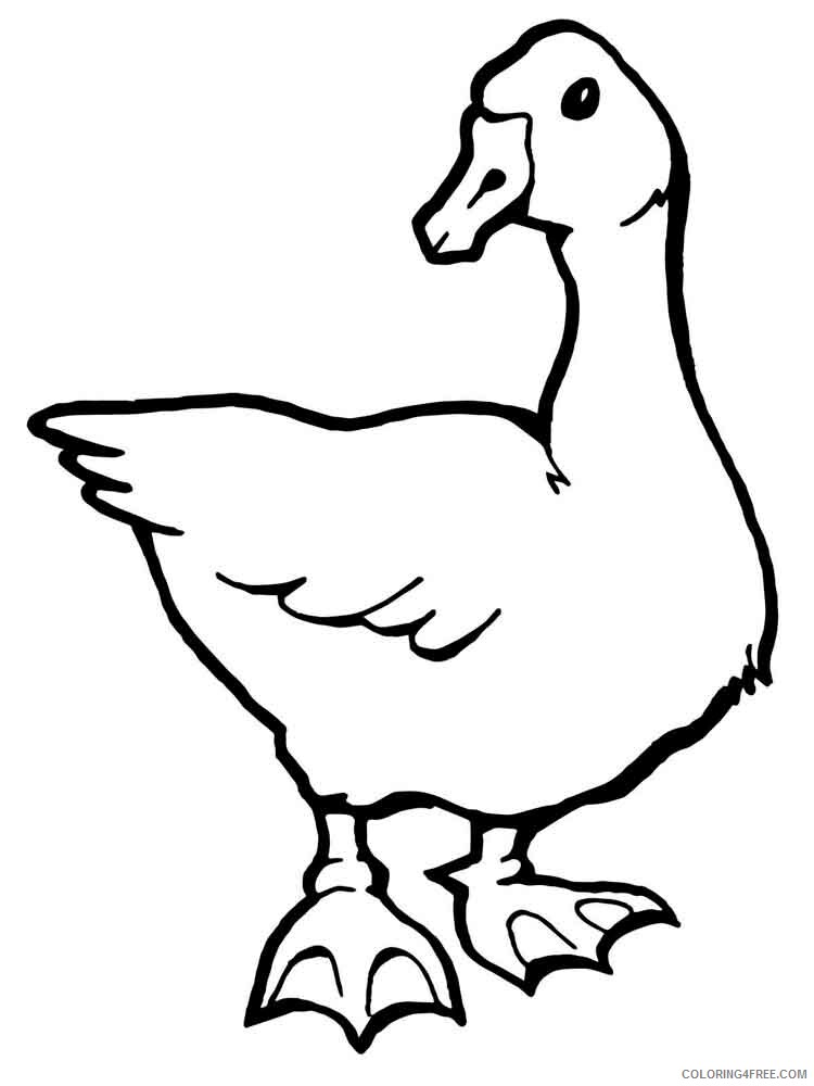 Goose Coloring Pages Animal Printable Sheets Gooses birds 9 2021 2489 Coloring4free
