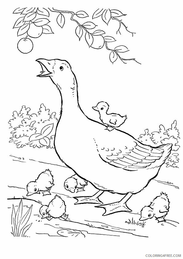Goose Coloring Pages Animal Printable Sheets mama goose with goslings 2021 2490 Coloring4free