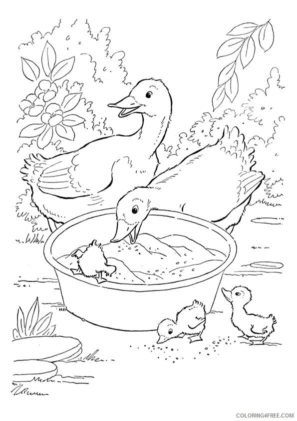 Goose Coloring Sheets Animal Coloring Pages Printable 2021 2098 Coloring4free