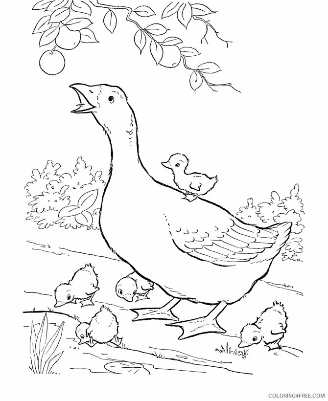 Goose Coloring Sheets Animal Coloring Pages Printable 2021 2105 Coloring4free