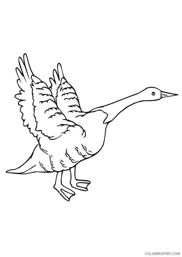 Goose Coloring Sheets Animal Coloring Pages Printable 2021 2106 Coloring4free