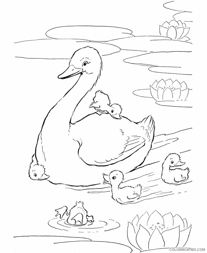 Goose Coloring Sheets Animal Coloring Pages Printable 2021 2111 Coloring4free