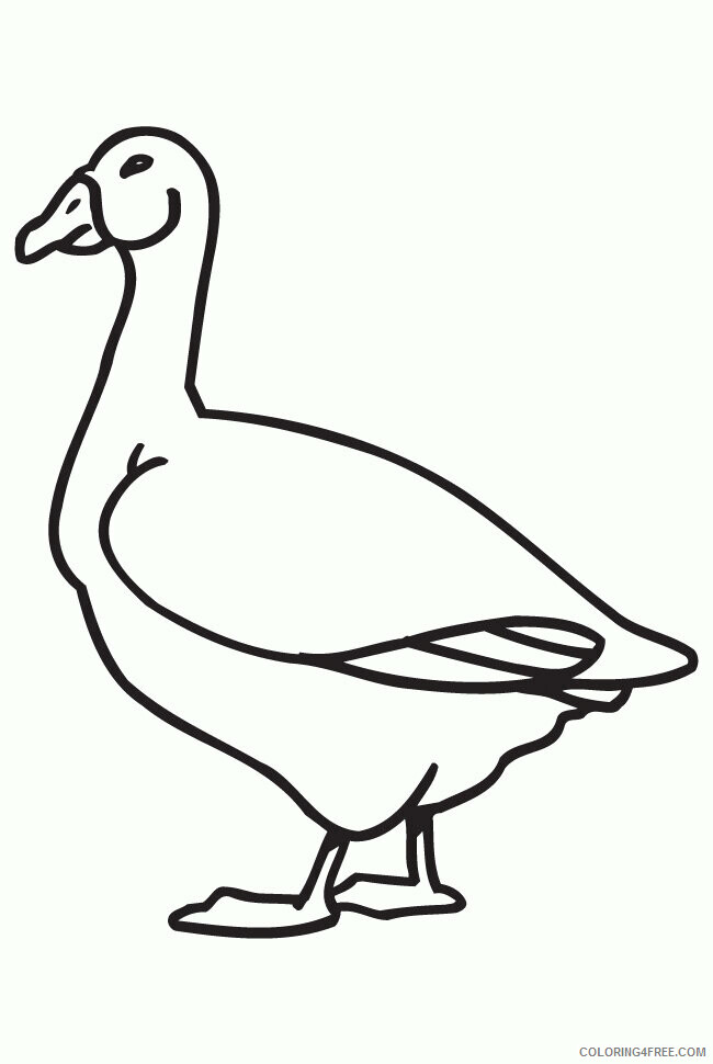 Goose Coloring Sheets Animal Coloring Pages Printable 2021 2116 Coloring4free