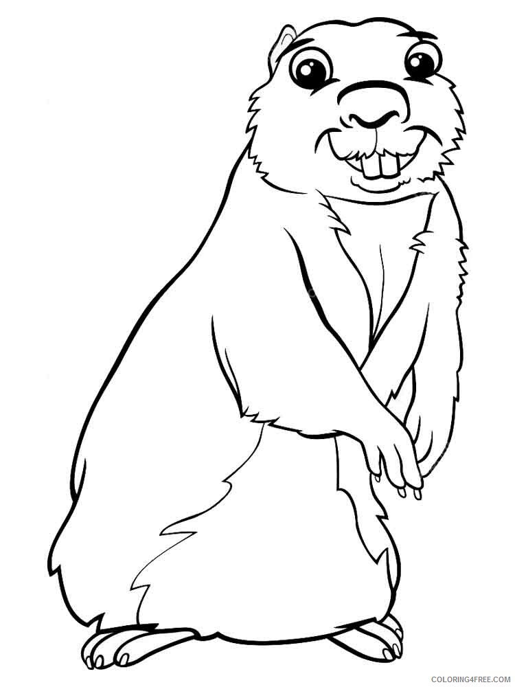 Gopher Coloring Pages Animal Printable Sheets gopher 4 2021 2494 Coloring4free