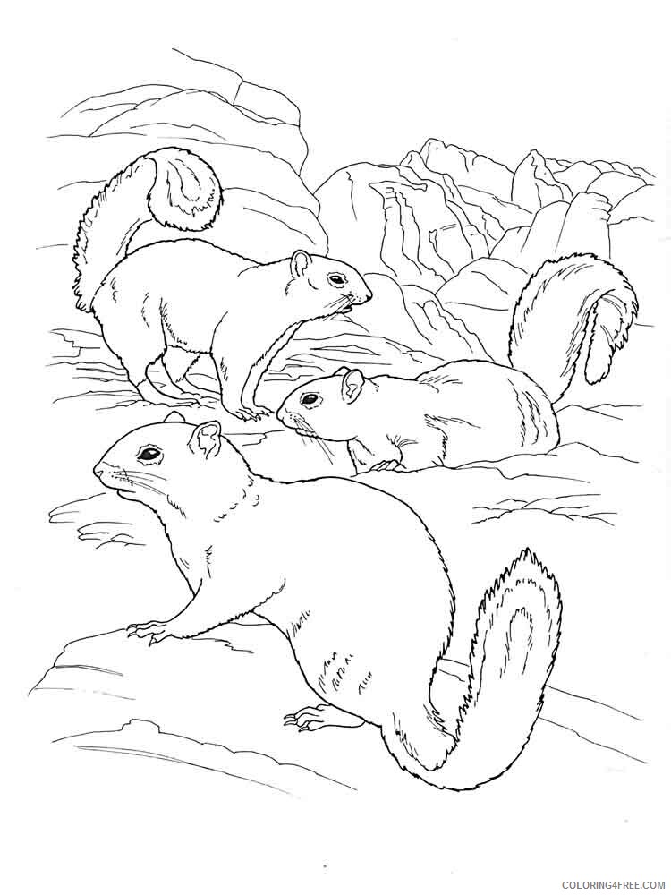 Gopher Coloring Pages Animal Printable Sheets gopher 9 2021 2496 Coloring4free