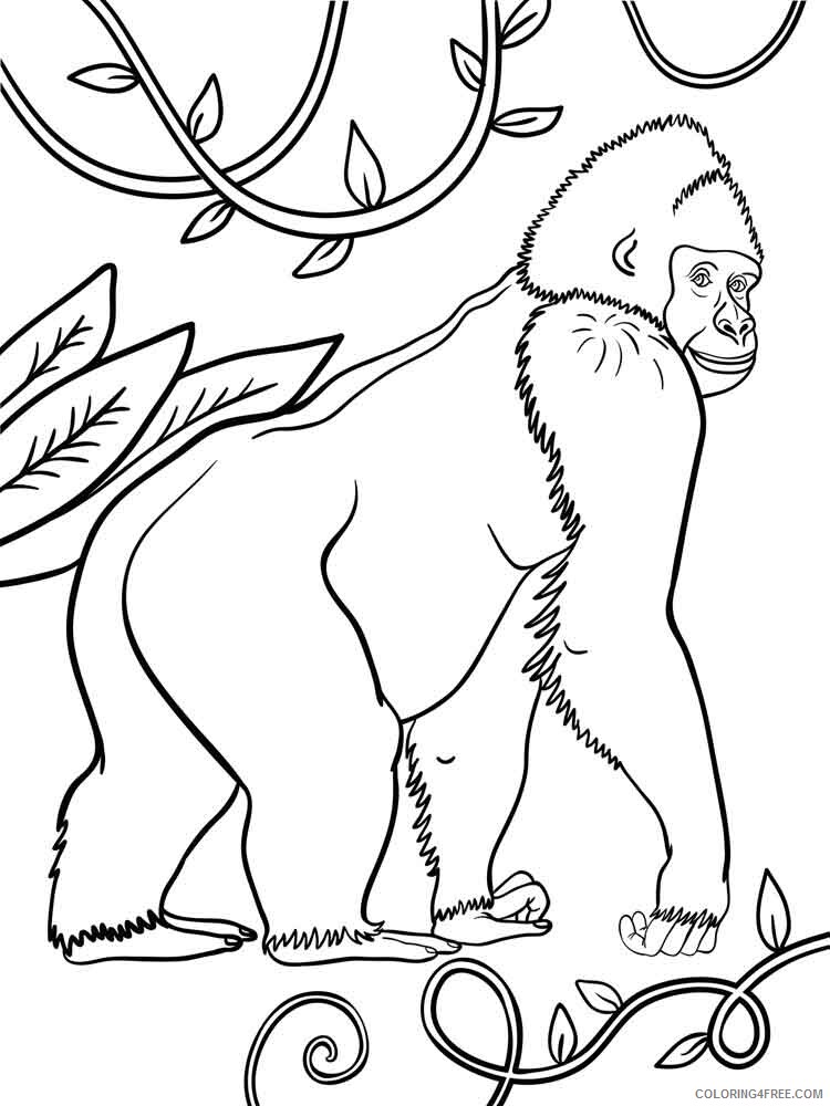 Gorilla Coloring Pages Animal Printable Sheets gorilla 5 2021 2507 Coloring4free