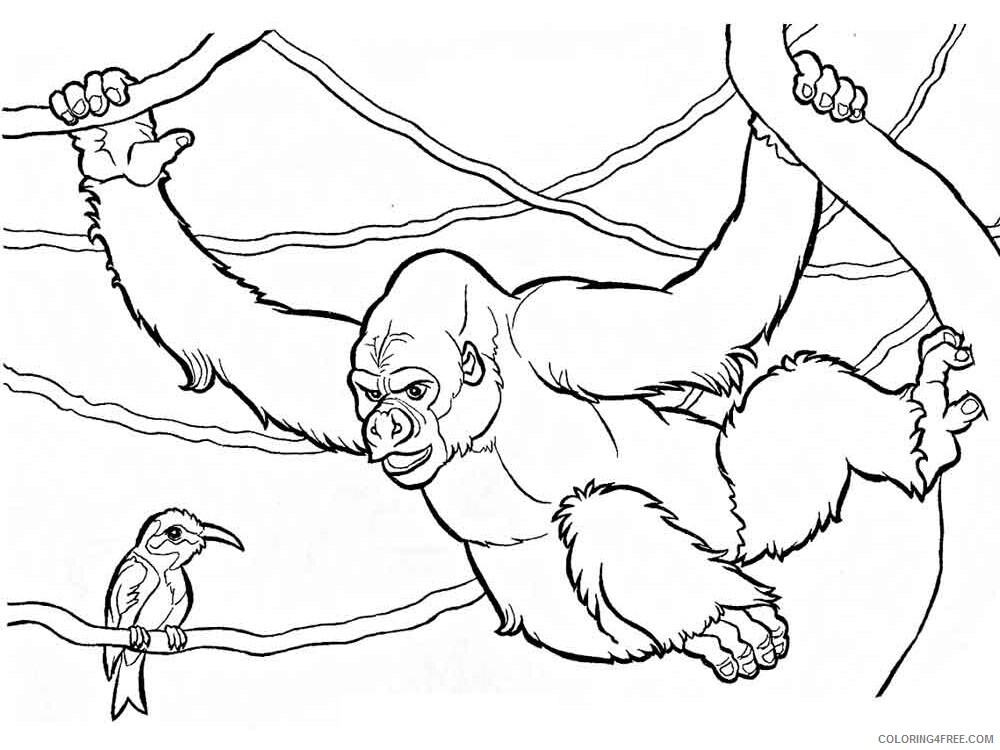 Gorilla Coloring Pages Animal Printable Sheets gorilla 8 2021 2509 Coloring4free