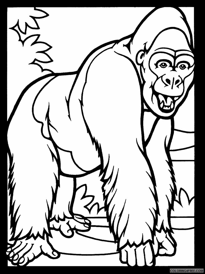 Gorilla Coloring Pages Animal Printable Sheets gorilla2 2021 2500 Coloring4free