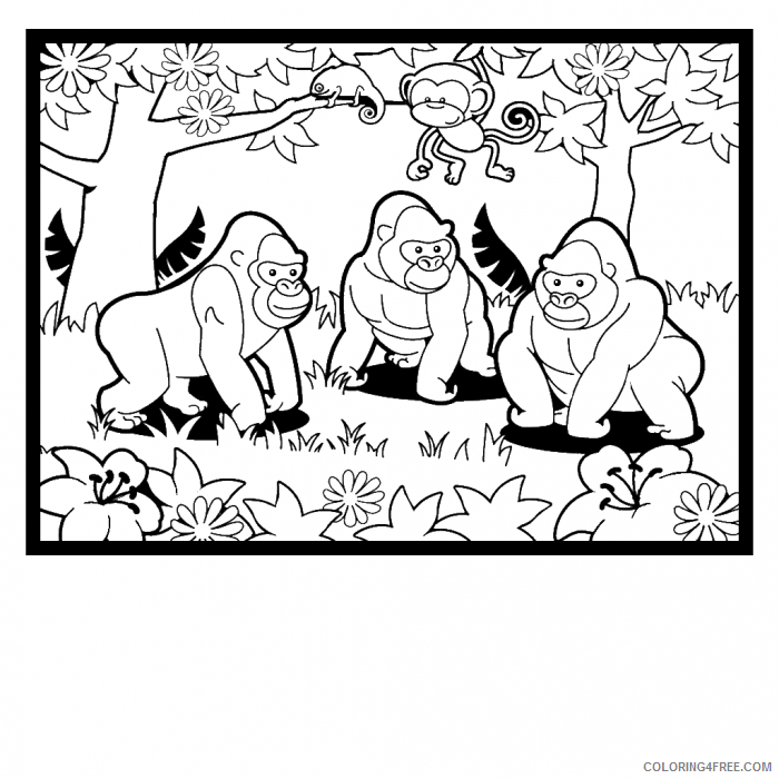 Gorilla Coloring Sheets Animal Coloring Pages Printable 2021 2122 Coloring4free