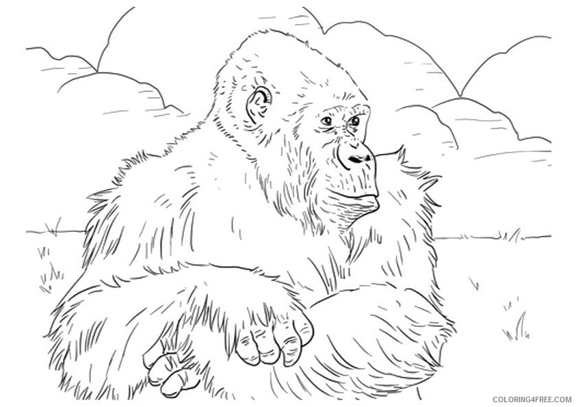 Gorilla Coloring Sheets Animal Coloring Pages Printable 2021 2129 Coloring4free