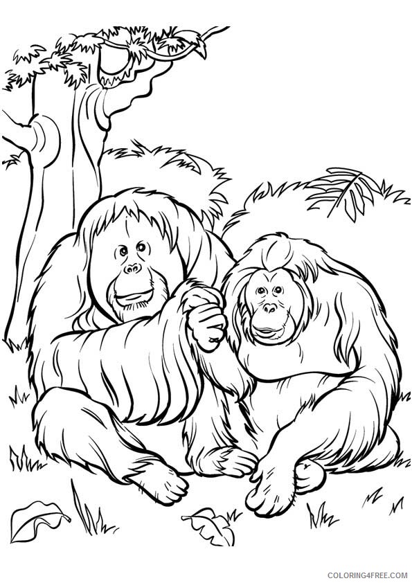 Gorilla Coloring Sheets Animal Coloring Pages Printable 2021 2134 Coloring4free
